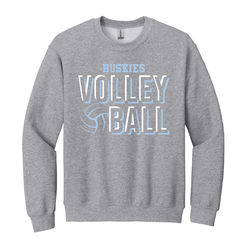 Volleyball image