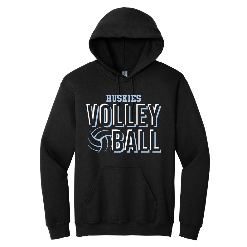 Volleyball image